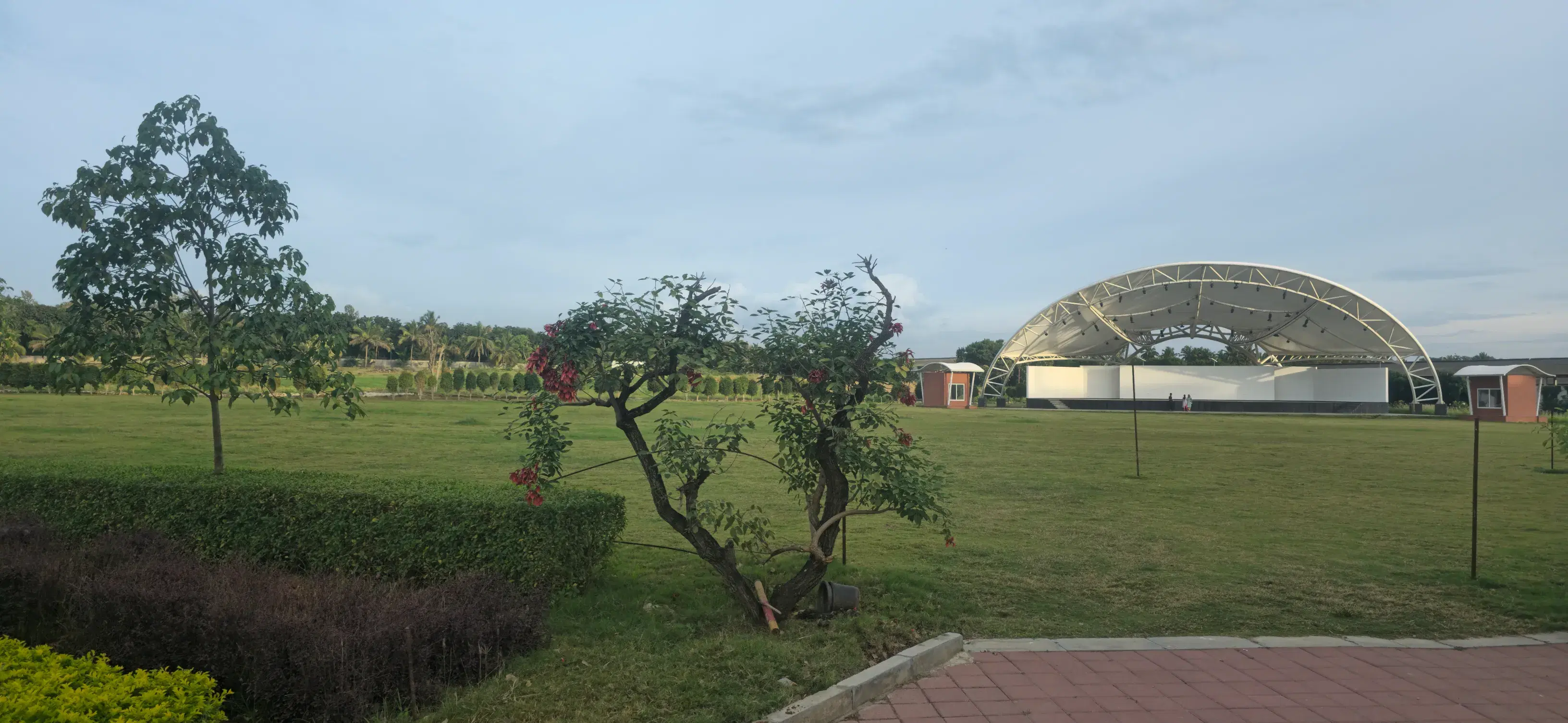 Dayananda Sagar University Bangalore Ground photo 4